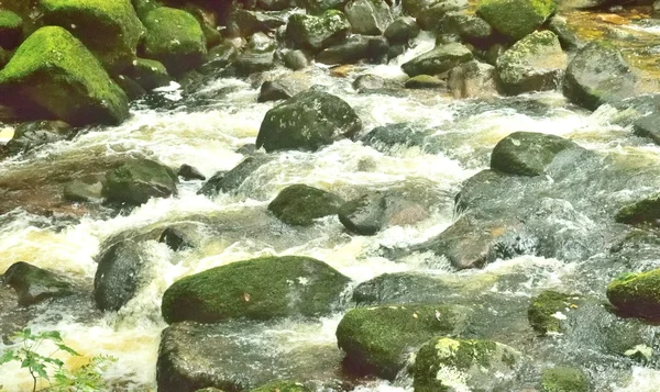 Floresta mágica, água branca sobre as rochas no desfiladeiro . — Fotografia de Stock