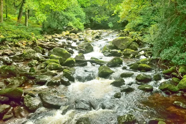 Чарівний ліс, біла вода над скелями в ущелині . — стокове фото