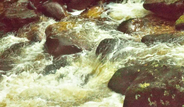 Bosque mágico, agua blanca sobre las rocas en el barranco . — Foto de Stock
