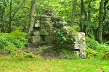 Sihirli orman, Beyaz su üzerinde vadiye kayalarda.