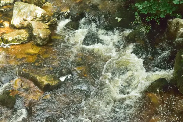 Zauberhafter Wald, Wildwasser über den Felsen in der Schlucht. — Stockfoto