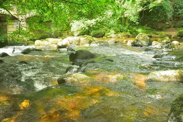 Чарівний ліс, біла вода над скелями в ущелині . — стокове фото