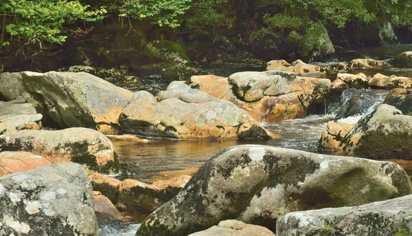 Чарівний ліс, біла вода над скелями в ущелині . — стокове фото