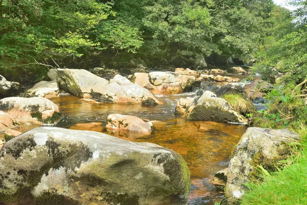 Forêt magique, eau blanche au-dessus des rochers dans la gorge . — Photo