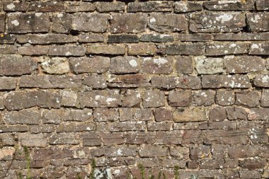 Kuzey Devon'a yerel taştan örülmüş eski duvar.