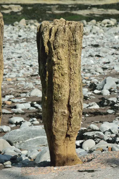 Cais de amarração de madeira e rochas . — Fotografia de Stock