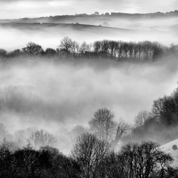 Brume matinale à Looe Valley, Cornouailles Royaume-Uni . — Photo