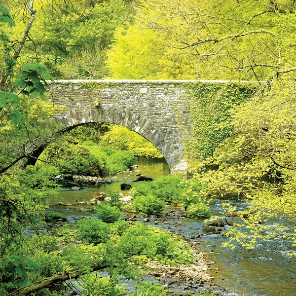 Ponte de pedra velha. Irlanda do Sul . — Fotografia de Stock