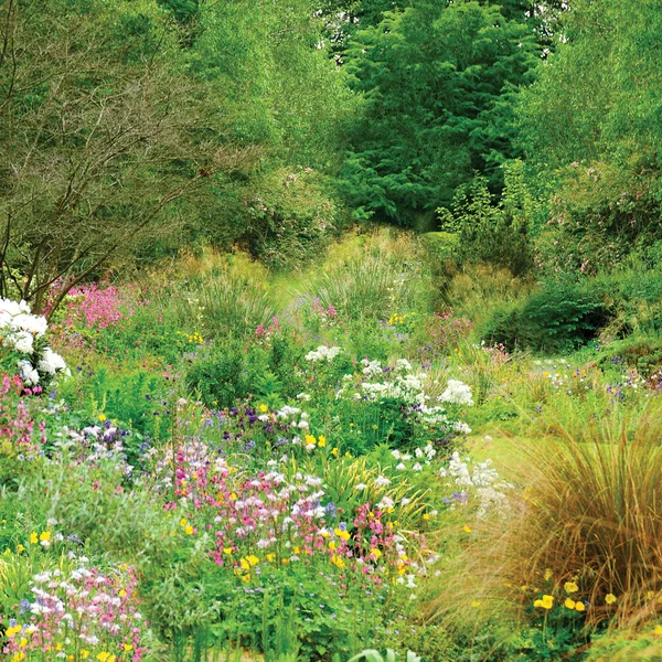 Cornwallský Venkovská zahrada — Stock fotografie
