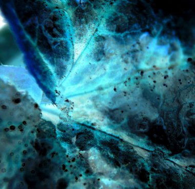 Jeolojik örnek gösteren doğa'nın kendi renk paleti ve tasarımlar.