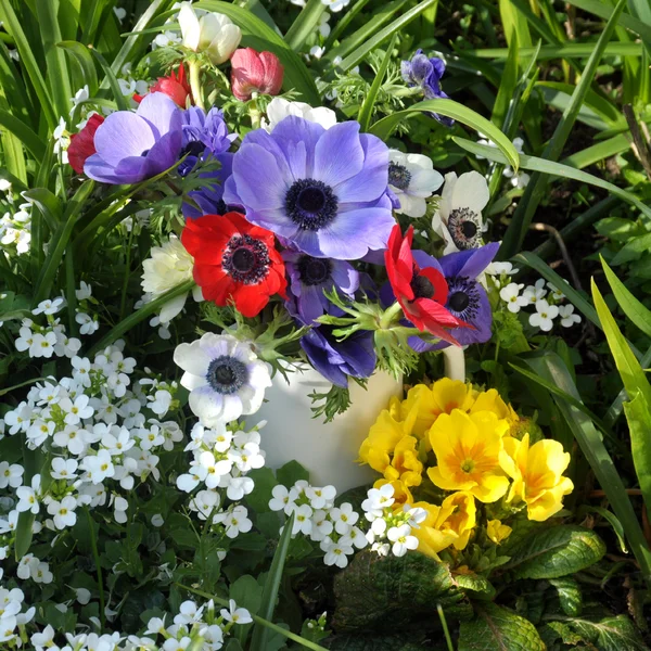 Posy of spring flowers. — Stock Photo, Image