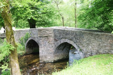 Ancient country bridge. clipart