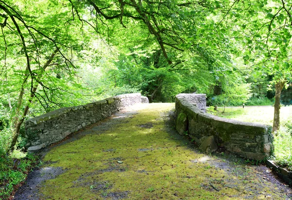 Alte Landbrücke. — Stockfoto