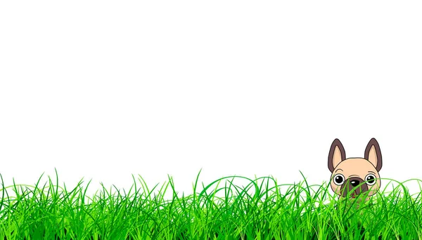 Illustration Cute Pup Hiding Grass White Background — Stock Photo, Image