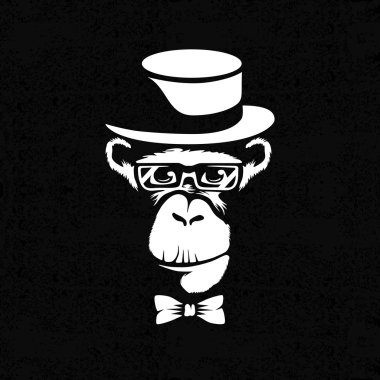 İnsan-maymun ile kayıt