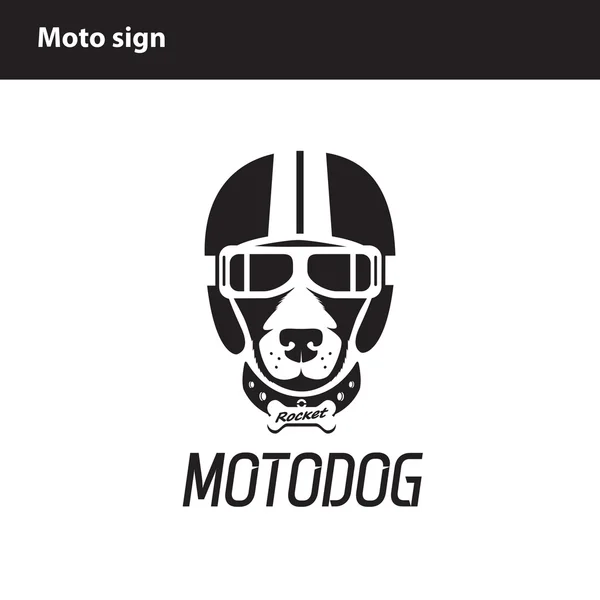 kask, favori evcil hayvan, köpek