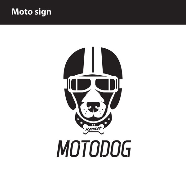 собака в шлеме, любимое животное
