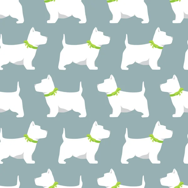 karanlık bir arka plan üzerinde beyaz köpek