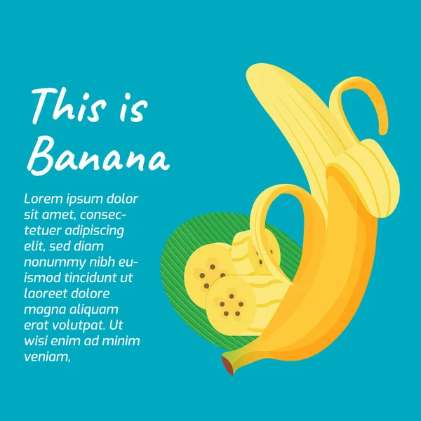 Bananenscheiben Illustration Auf Farbigem Hintergrund Für Obst Bildungsaktie Grafik Asset — Stockvektor