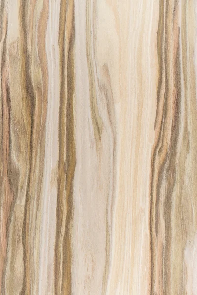 ahşap doku arkaplanı