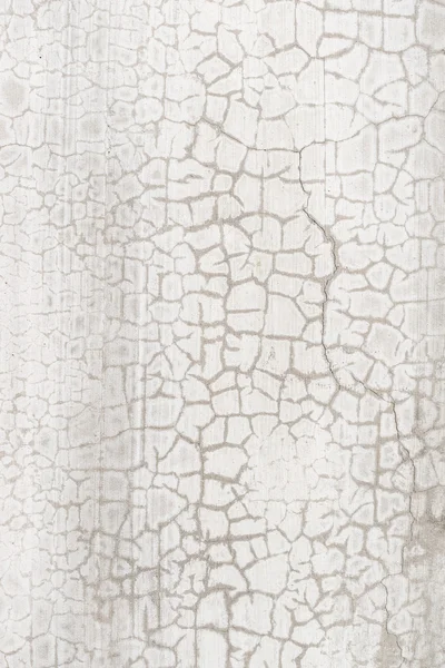 Çimento duvar yüzeyi