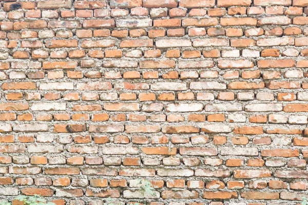 レンガの壁の表面 — ストック写真