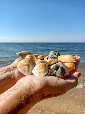 Farklı deniz kabukları ellerinde ve Azov 'un deniz kıyısındaki kumların üzerinde.