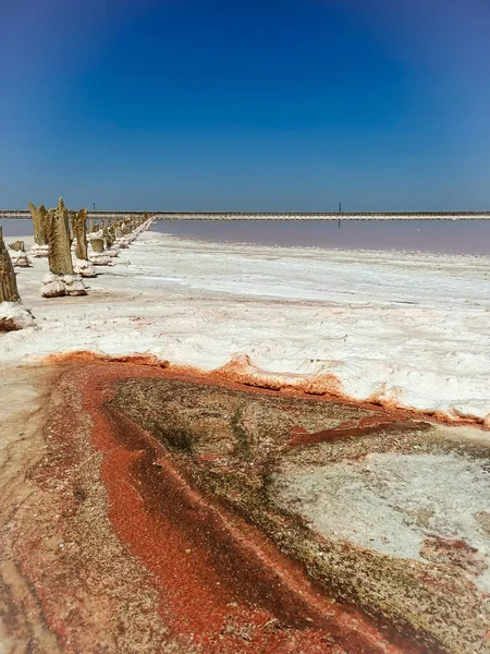 분홍빛 호수와 분홍빛 기둥들 — 스톡 사진