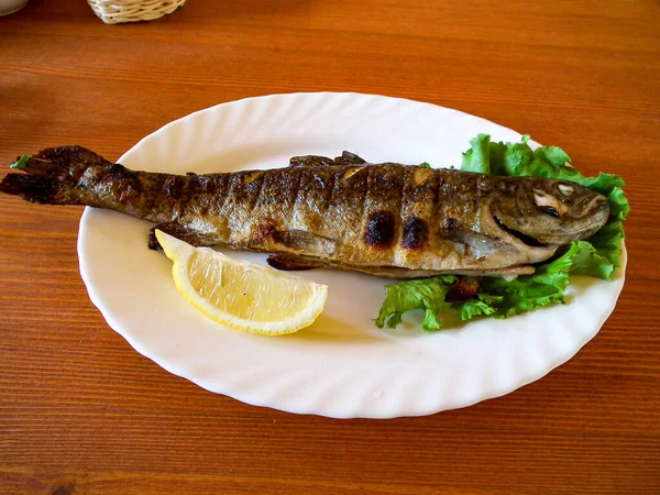 Fried fish in restaurant in fish farm at the deapest canyon gorge in the would in Dagestan and green river Sulac on the bottom of mountains under blue sky