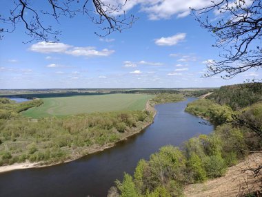 Riverbend in the deep forest with green trees around and under blue sky with clouds