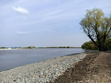 Bahar mevsiminde mavi gökyüzünün altında nehir kıyısında yeşil çimen tarlaları