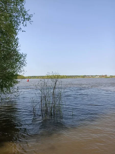 Des Champs Verts Herbe Fraîche Bord Rivière Sous Ciel Bleu — Photo