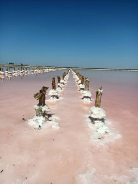 Kurumuş tuz gölündeki ahşap sütun mavi yaz gökyüzünün altında büyük tuz parçalarıyla