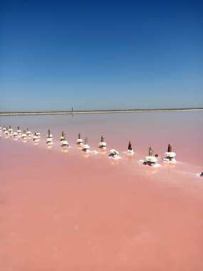 Gölün pembe gül suyunda beyaz tuz tabakasıyla kaplı ahşap sütun.