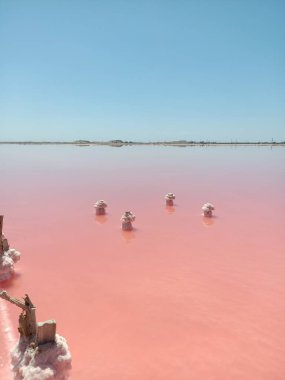 Gölün pembe gül suyunda beyaz tuz tabakasıyla kaplı ahşap sütun.