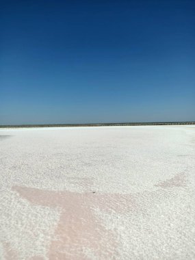 Layer of white salt on the pink rose salt lake under blue sky