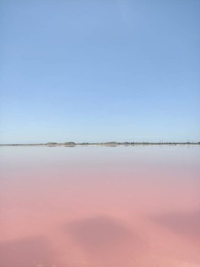 Beautiful salt pink or rose lake under blue sky