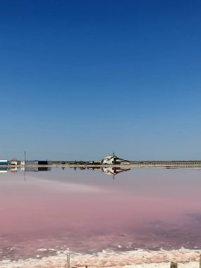 Beautiful salt pink or rose lake under blue sky