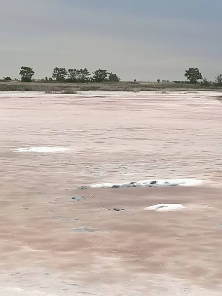 Tuz Tabakası Mavi Gökyüzünün Altında Pembe Gölü Ahşap Sütunlarla Kapladı — Stok fotoğraf