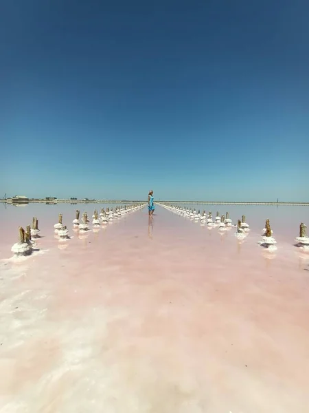 여름날 다량의 소금을 분홍빛 호수에 기둥들 — 스톡 사진