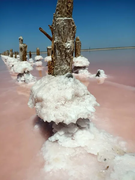 여름날 다량의 소금을 분홍빛 호수에 기둥들 — 스톡 사진