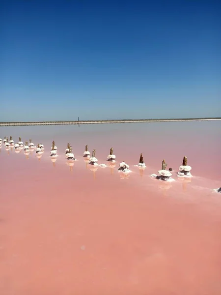 분홍색 의물에 기둥들 — 스톡 사진