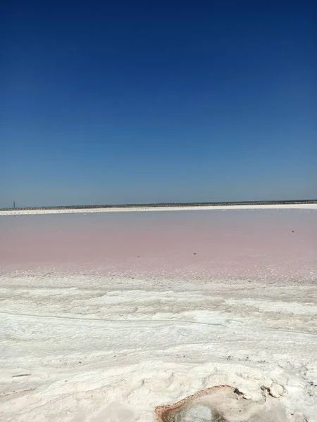 Beautiful Salt Pink Rose Lake Blue Sky — 스톡 사진
