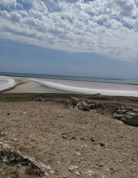 Rosafarbener Salzsee Mit Schwarzem Und Weißem Salz Strand — Stockfoto