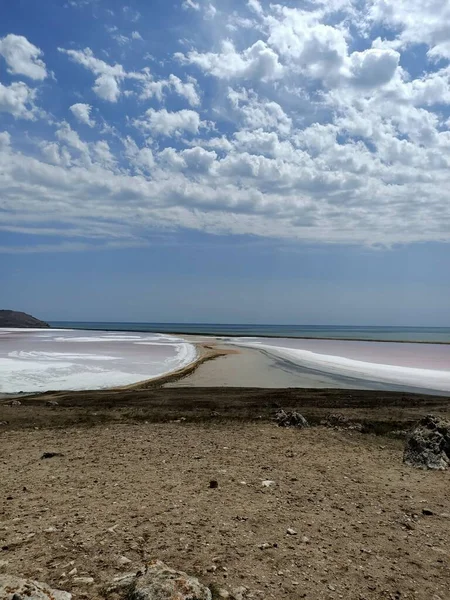 Pink Salt Lake Black Mad White Salt Beach — Stock Photo, Image