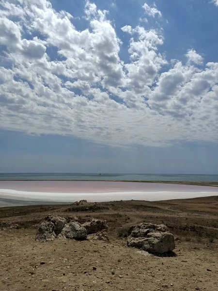 Roze Zoutmeer Met Zwart Gek Wit Zout Het Strand — Stockfoto