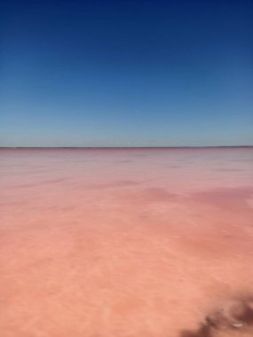 Beautiful salt pink or rose lake under blue sky
