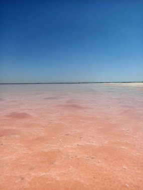 Beautiful salt pink or rose lake under blue sky