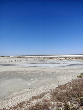Tuz tabakası mavi gökyüzünün altında pembe gölü ahşap sütunlarla kapladı.