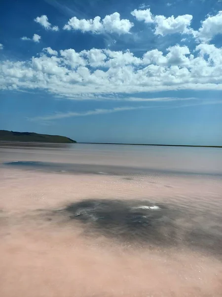 Beautiful Salt Pink Rose Lake Blue Sky — Stock Photo, Image